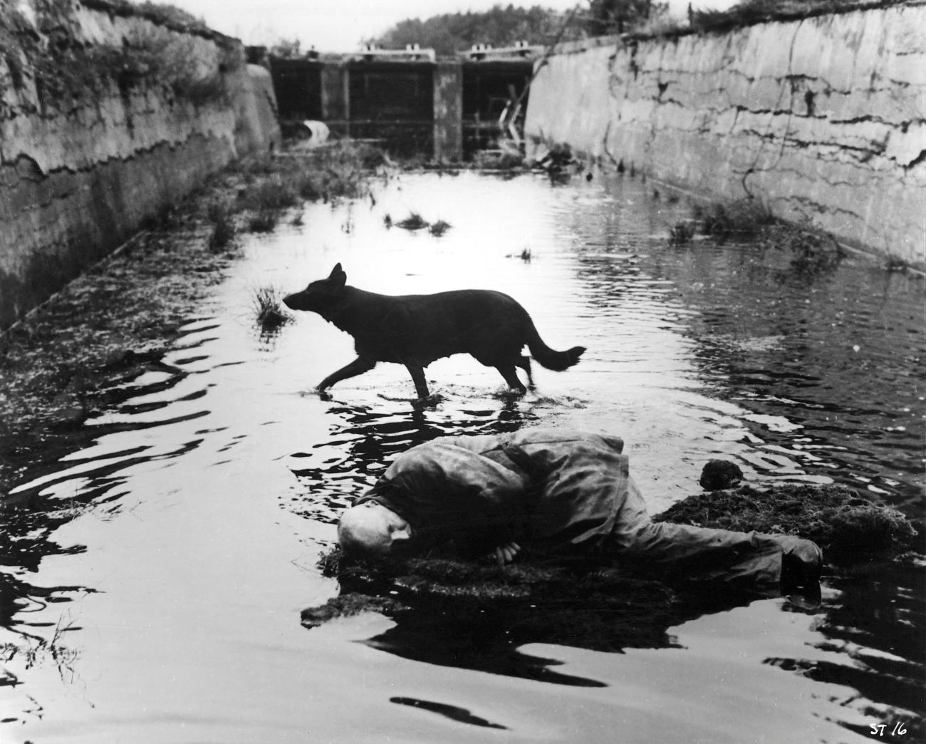 The Canal (black dog scene)